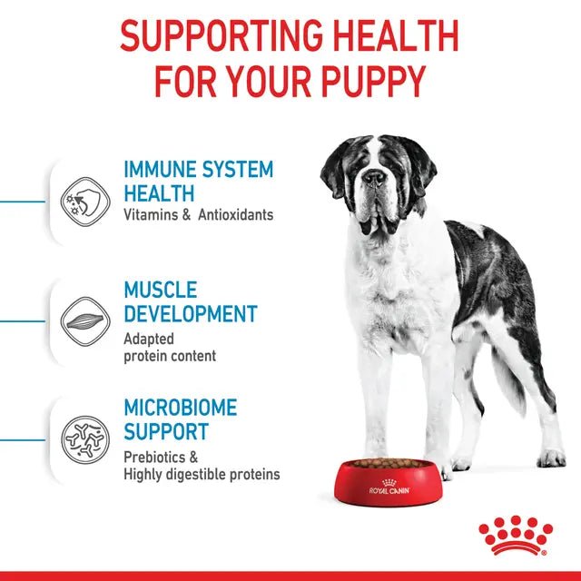 Royal Canin Giant Junior Dry Dog Food – 15kg - Pet Supply